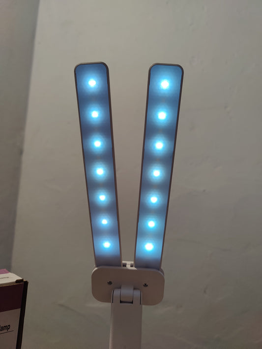 Adjustable Study Lamp- C80